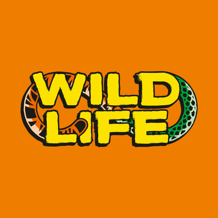 Schleich Wild Life Sets jetzt günstig online kaufen